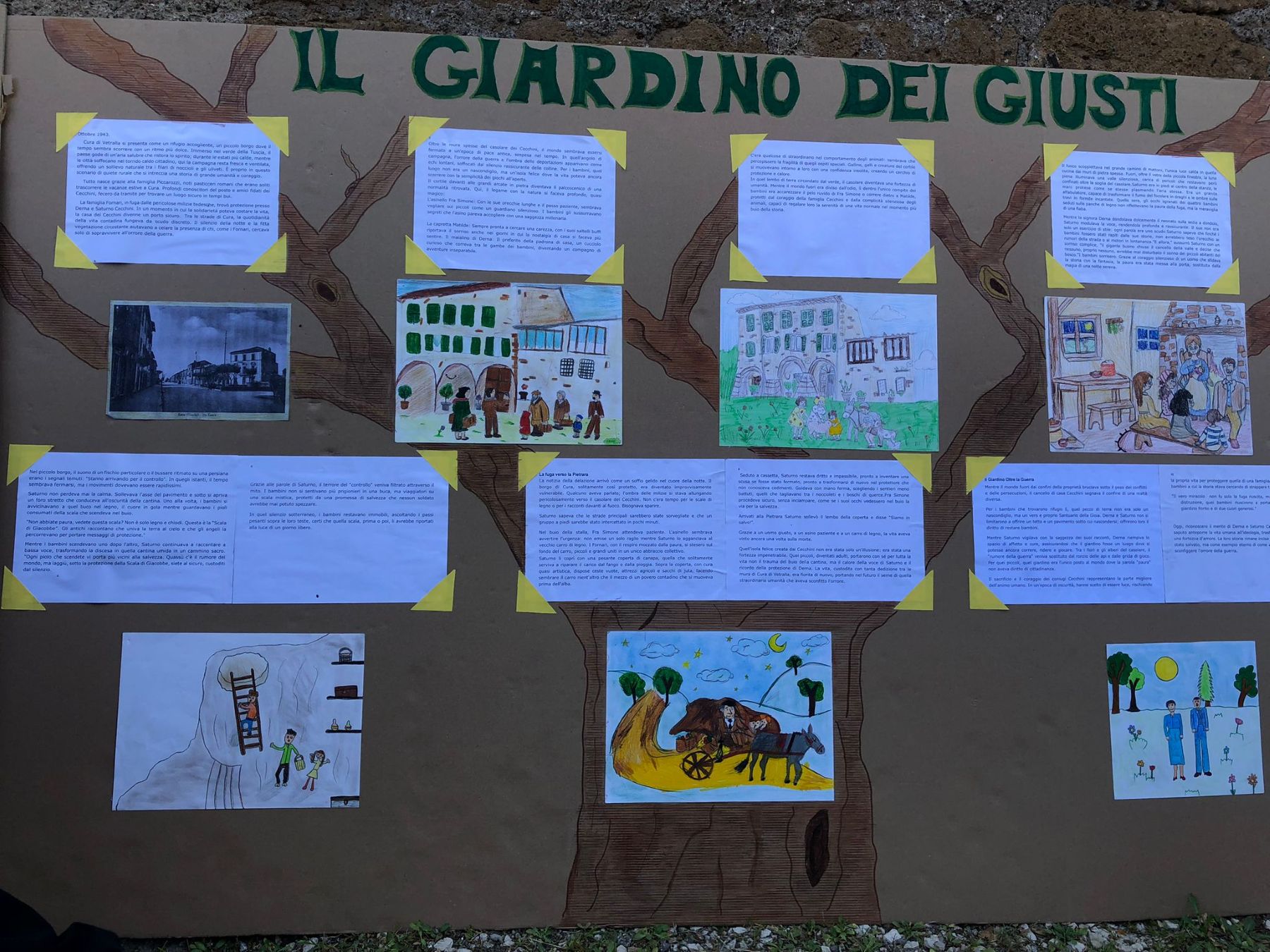 Foto 2